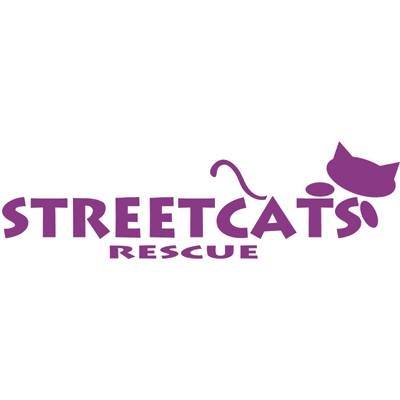 Street Cats Rescue Conil
